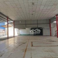 Cho Thuê Mặt Bằng Kd 1000M2, Mặt Tiền Đường Chính Nguyễn Khuyến,Trảng Dài