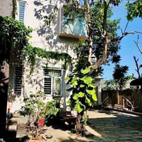 Cho Thuê Biệt Thự Sân Vườn 750M2 1T2L Trung Tâm Phường Thống Nhất