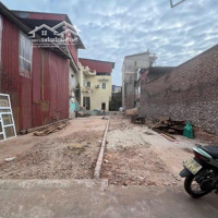 B.á.n Vội Hơn #1.X Tỏi Lô Đ.ấ/T Hương Mạc Từ Sơn