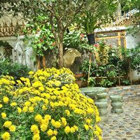Bán Biệt Thự Sân Vườn Siêu Đẹp Trung Tâm Quận Ba Đình Khu Quan Chức Cấp Cao, Tặng Nội Thất Dát Vàng