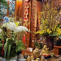 Bán Biệt Thự Sân Vườn Siêu Đẹp Trung Tâm Quận Ba Đình Khu Quan Chức Cấp Cao, Tặng Nội Thất Dát Vàng