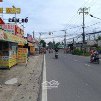 Bán Gấpmặt Tiềnlý Thái Tổ Nhơn Trạch Gần Vành Đai 3,Thổ Cư,Giá Siêu Rẻ 3, 2 Triệu/M.ck Đúng Giá.gọi Ngay 24H