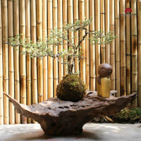 Nhà 1 Trệt 3 Lầu Khu Trung Tâm Hành Chính, P. Dĩ An, Tp. Dĩ An