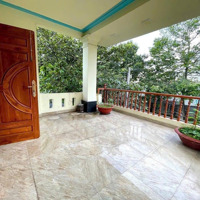 Nh Thẩm Định 8Tỷ Đang Cho Vay 5Tỷ, Chủ Ngộp Nặng Bán Gấp 5Tỷ 500 Triệu,Mặt Tiềnđường Lớn Giáp Trần Hưng Đạo