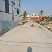 Đất Nền Đẹp Tại Cẩm Hoàn, Thanh Sơn, Kiến Thụy, Hải Phòng, 720 Triệu, 60.8M2 Hot!
