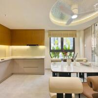 Bán Nhà Phố Đẹp Đường Phạm Văn Chiêu, Phường 13, Quận Gò vấp, Hồ chí Minh