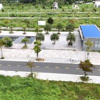 Đầu Năm Trả Nợ Cho Con Mùa Tết Bán Cắt Lỗ Giá Bán 1Ty350, Mặt Tiền Đường Nhựa 13M Cách Chợ 300M