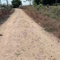 Bán Đất Sào Giá Rẻ, Hàm Thuận Bắc, Bình Thuận, Đường Xh, 40M Mặt Tiền, 3.2 Sào Giá Bán 250 Triệu/Sào