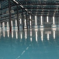 Cho Thuê 6000 M2 Nhà Xưởng Và 5000M2 Nhà Văn Phòng Tại Cụm Công Nghiệp An Lão. ( Có Tách Lẻ)