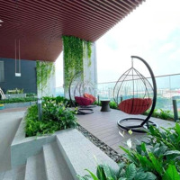 Cập Nhật Thông Tin Cho Thuê Và Chuyển Nhượng Căn Hộ The Emerald Golf View Tháng 2/2025