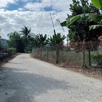 Đất Dân Cắt Bán Diện Tích Sổ Gần 99M Diện Tích Thực Tế Hơn 180M Giá Chỉ Hơn 600 Tr