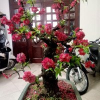 Nhà Mặt Ngõ Linh Quang -Đống Đa -Ngõ Thông -Kinh Doanh -3 Xe Ô Tô Tránh -92 M2-3 Tầng -Mt- 11 M