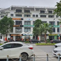 Cập Nhật Mới Các Lô Liền Kề, Biệt Thự, Vinhomes Gardenia Mỹ Đình Ngày 09/02/2025