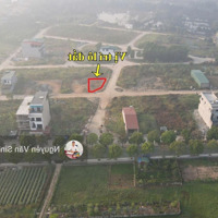 Bán Lô Góc Đấu Giá Đồng Phươm, Phúc Thọ, Giá Tốt.