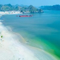 **Tin Bán Đất Mặt Đường Trung Tâm Du Lịch - 535M2 Măt Đường Núi Ngọc. Giá Tốt Nhất Khu Vực.