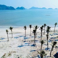 **Tin Bán Đất Mặt Đường Trung Tâm Du Lịch - 535M2 Măt Đường Núi Ngọc. Giá Tốt Nhất Khu Vực.