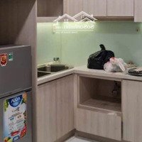 Cho Thuê Safira 1+ Nội Thất Cơ Bản