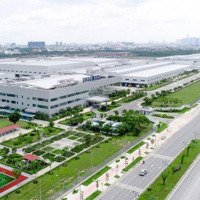 Bán Sỉ 5 Lô Đất Mặt Tiền Đương Lớn Sát Becaemex Và Kcn An Thái Giá Chỉ Từ 3Xxtr/Nền