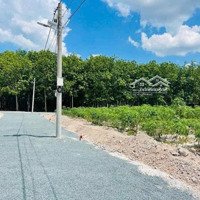 Bán Sỉ 5 Lô Đất Mặt Tiền Đương Lớn Sát Becaemex Và Kcn An Thái Giá Chỉ Từ 3Xxtr/Nền