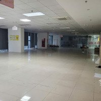 Bql Chính Chủ Tòa Nhà 90 Nguyễn Tuân Cho Thuê 1000M2 Có Cắt 500M2, 700M2, 1000M2 Sẵn Nội Thất