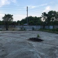 Bán Lô Đất Vừờn 1288M2 Giá Bán 12Ty 500 Triệu Mặt Tiền Đường Xương Cá 2 Xã Phong Phú Huyện Bình Chánh.