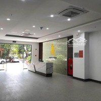 Đầu Năm Có Nhiều Mã Căn Đẹp Tại 389 Dream Home , Phan Bội Châu Từ 1,5X Tỷ /Căn. Liên Hệ: 0942.995.498
