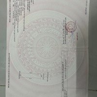 Bán Đất Đường Trần Viện - Gần Sân Vận Động Hoà Xuân .