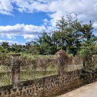 Bán đất nền Làng Chùa Ninh Gia,Đức trọng,Lâm Đồng 6.2mx48m chỉ 670 triệu