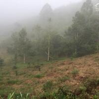 6 sào đất vườn view thung lũng thôn 10 xã Lộc Nam , huyện Bảo Lâm , Lâm Đồng giá 1,45 tỷ