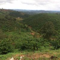 6 sào đất vườn view thung lũng thôn 10 xã Lộc Nam , huyện Bảo Lâm , Lâm Đồng giá 1,45 tỷ