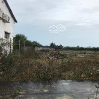 Bán Đất Tại Nguyễn Chí Thanh, Tân Bình, La Gi, Bình Thuận, 650 Triệu, 117.3 M2, Giá Tốt