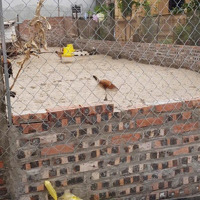 Bán Mảnh Đất Đẹp 66M2 Tại Thụy Hà, Bắc Hồng Đông Anh, Giá Chưa Đến 3 Tỷ