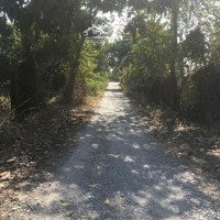 Đất Sổ Hồng Full Thổ Cư, 107M2 Đường Nguyễn Thị Nê (Thương Lượng)