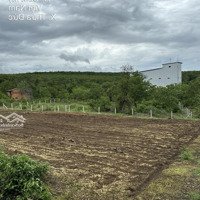 Cần Vốn Bán 2000M Đất Nghỉ Dưỡng Cẩm Mỹ, Đồng Nai.
