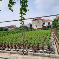 Bán 760M Đức Nhuận, Dạ Trạch, Khoái Châu, Hưng Yên 0385626846