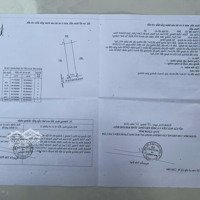 Cam An Nam -- 461 M2 -- 10 X 46 -- Tc60 -- Giá Chỉ 2 Tỷ 500