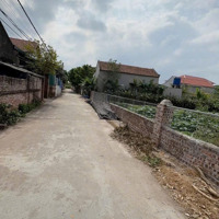 Hoa Hậu 760M2 Full Thổ Cư Tại Đức Nhuận - Dạ Trạch - Khoái Châu - Hưng Yên Mặt Tiền 19,6 Nở Hậu