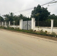 Bán Đất 769,6M2 Giá Siêu Hời Tại Phan Đình Giót, Nhuận Trạch, Lương Sơn, Hòa Bình