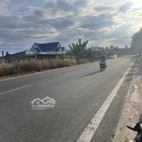 Bán Gấp Lô Đất Mặt Tiền Đường Lên Tỉnh Giá Chỉ 950 Triệu! Diện Tích: 245M2 Tc50 Sổ Sẵn