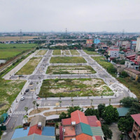 Bán Đất Nền Tại Đường Tân Lập, Phường Đình Bảng, Từ Sơn, Bắc Ninh, Giá Ưu Đãi 85 Triệu / M2, 110 M2
