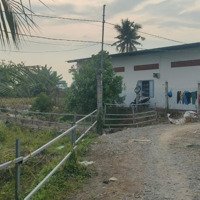 Bán Nhà Trọ Đang Cho Thuê 780M2 Full Thổ Cư , Chính Chủ Bán Tại Ấp 8, Lương Hòa, Bến Lức, Long An