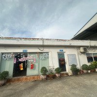 Cho Thuê Nhà Xưởng 2000M2 Có Văn Phòng , Đường Xe Cont Tại Thuận An , Bd.