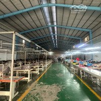 Cho Thuê Nhà Xưởng 2000M2 Có Văn Phòng , Đường Xe Cont Tại Thuận An , Bd.