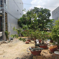 Bán Đất Tại Hà Huy Giáp, Thạnh Lộc, Quận 12, Tp.hcm, 3,1 Tỷ, 112 M2