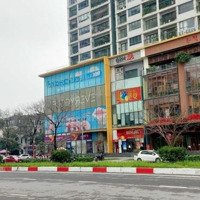 Shophouse Khu Ngoại Giao Đoàn - Bắc Từ Liêm Vị Trí Đẹp, 100M2X4 Tầng Mặt Tiền 6M, Kinh Doanh Đỉnh