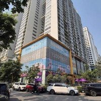 Shophouse Khu Ngoại Giao Đoàn - Bắc Từ Liêm Vị Trí Đẹp, 100M2X4 Tầng Mặt Tiền 6M, Kinh Doanh Đỉnh