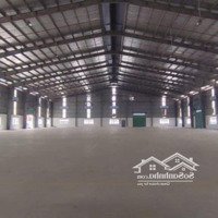 Xưởng Cho Thuê Khu Công Nghiệp Đức Hòa - Long An Diện Tích 7000M2