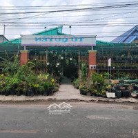 Bán Nền Tân Hoà - Phú Tân - Ag