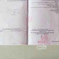 Bán Đất Đường Số 39 Khu Tái Định Cư Phú Chánh B, Kế Bên Nguyễn Khuyến Vàtrung Tâm Thương Mạitp Mới Giá Tốt