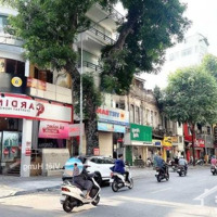 Bán 115M Đất Mặt Phố Lò Đúc - Trần Khát Chân Giá Đầu Tư 36,6 Tỷ Xây Toà Vp, Kd Sầm Uất...0903417838